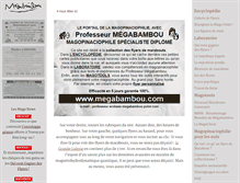 Tablet Screenshot of megabambou.com